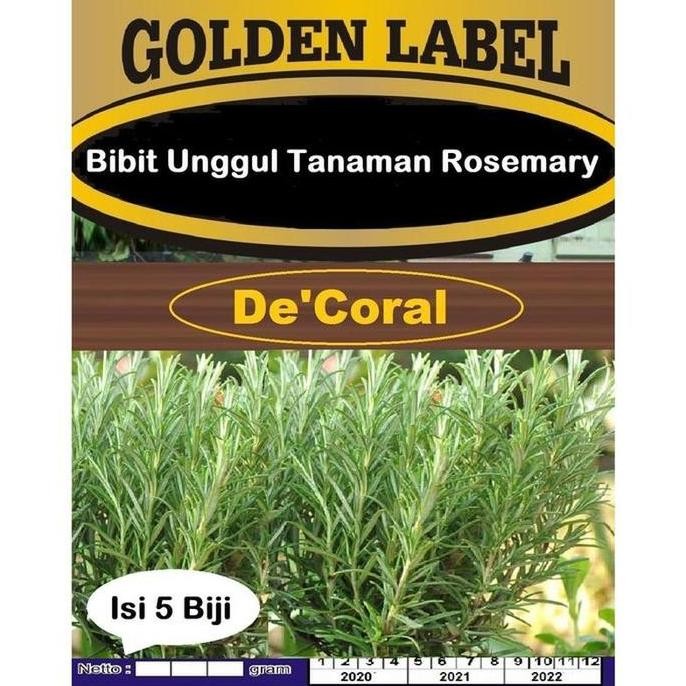 

Terlaris Bibit Unggul Tanaman Rosemary | Benih Rosemary