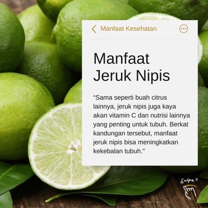

Terlaris Bibit Jeruk Nipis Hasil Okulasi Cepat Berbuah Bisa Berbu Oyroxe 6057Cy