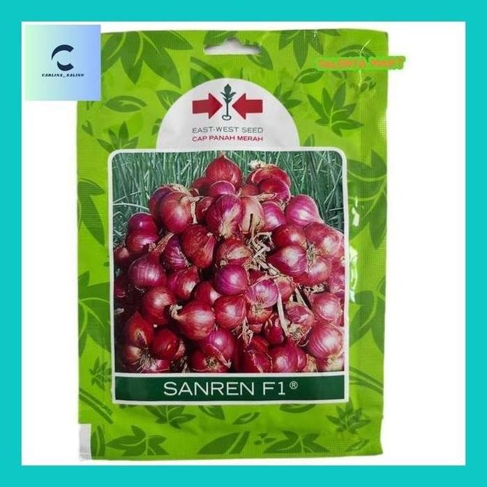 

Terlaris Carlin^ Benih/Bibit Bawang Merah Sanren F1 Exp 2025