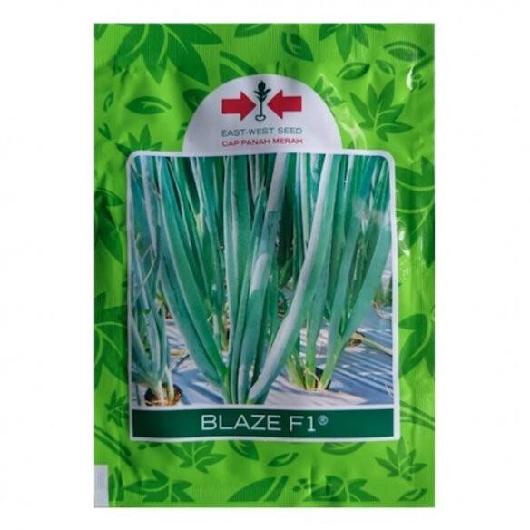 

Terlaris Benih Bibit Daun Bawang Blaze F1 10Gr Biji Cap Panah Merah Sayuran 10G