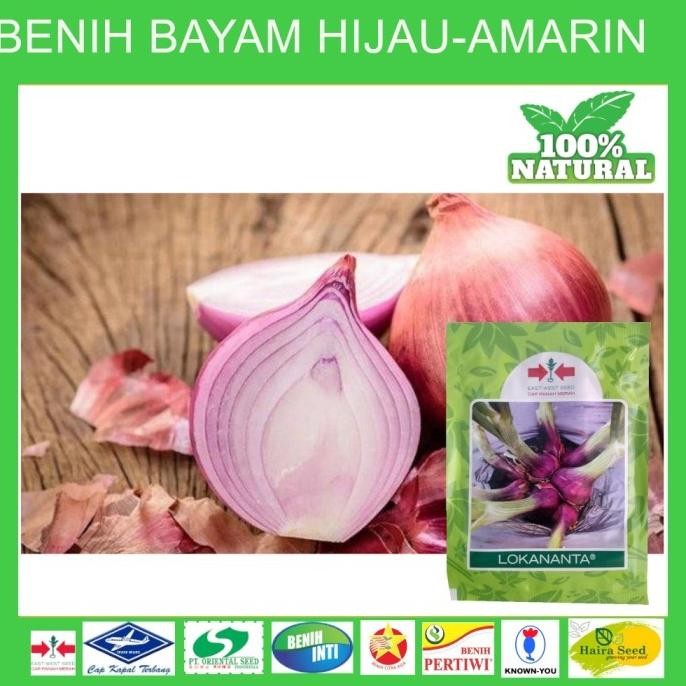 

Terlaris Kualitas Terjamin Bibit Benih Biji Seed Unggul Bawang Merah Lokananta 10 Gram