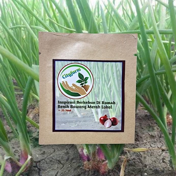 

Terlaris Bibit Bawang Merah Lokal Unggulan Bibit Unggul