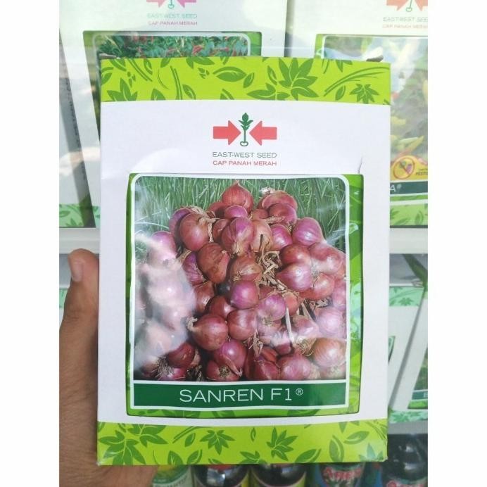 

Terlaris (Masterpice) Benih Bawang Merah Sanren F1 (10 Gram) - Bibit Cap Panah Merah 10 Gr