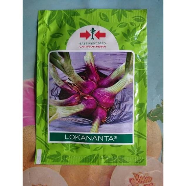 

Terlaris Benih Biji Bibit Bawang Merah Unggul Lokananta 10Gr (300 Loryya 5778Yv