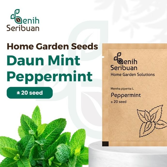 

Terlaris Benih Seribuan Bibit Herb Daun Mint Peppermint Heirloom Premium