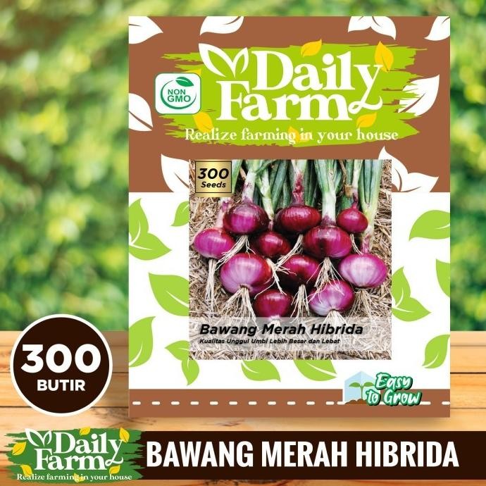 

Terlaris Daily Farm - Benih Bibit Bawang Merah Hibrida