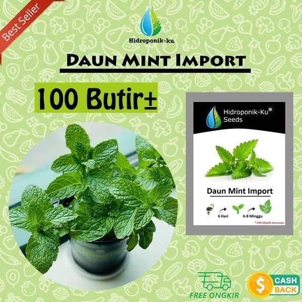 

Terlaris Um(1) Bibit/ Benih Daun Mint Pepermin (100 Biji) Hidroponik Ku