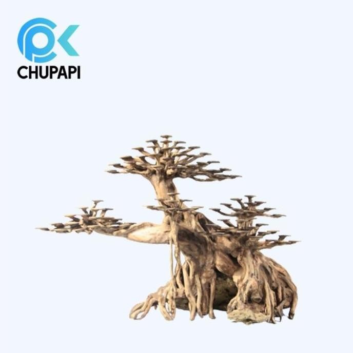 Terlaris Pohon Bonsai Hiasan Aquarium Aquascape