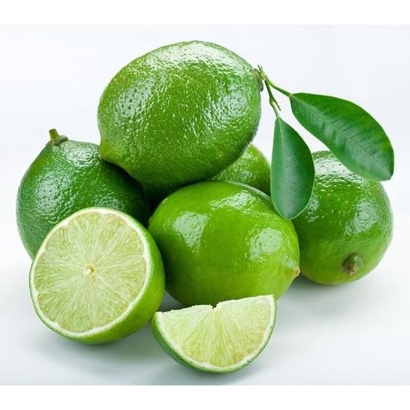 

Terlaris Bibit Jeruk Nipis Asli Tanaman Buah Hasil Okulasi Super Kirdko 2506Gm