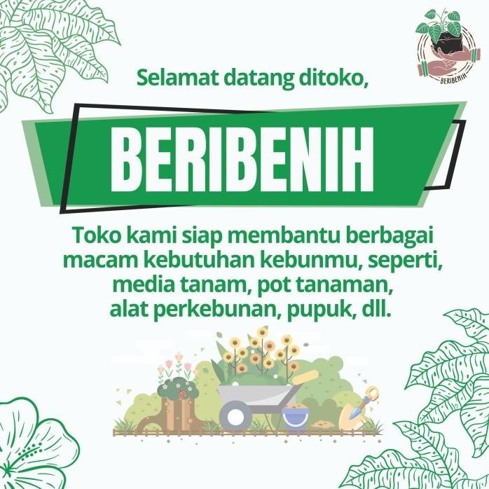 

Terlaris |Executive| Pupuk Kandang Kambing Organik Halus Siap Pakai Halus Kohe