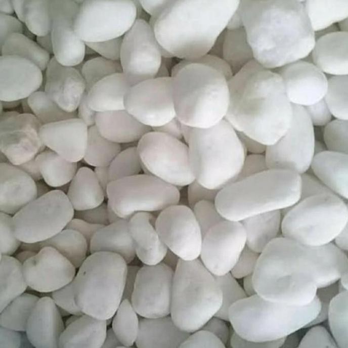 

Terlaris Batu Putih Italy Hiasan Taman Aquarium