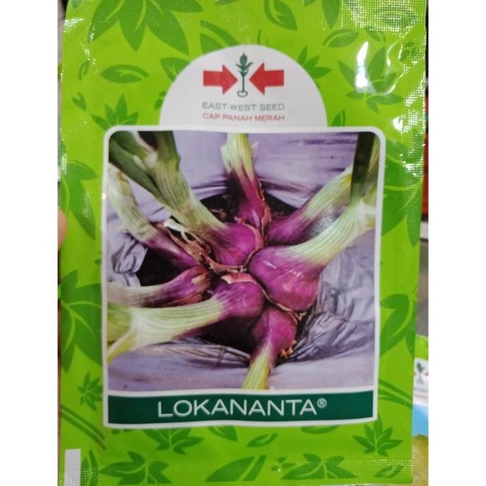 

Terlaris Hh 10 Gr Benih Bawang Merah Lokanta Bibit Brambang Tahan Penyakit Cap