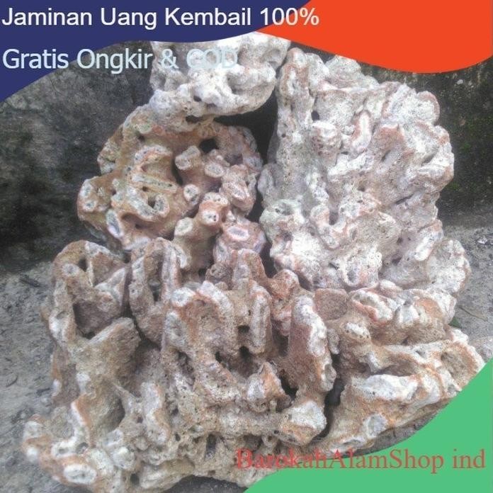 Terlaris Karang Batu,Posil Laut Besar Media Aquascape Hiasan Aquarium(2Kg)