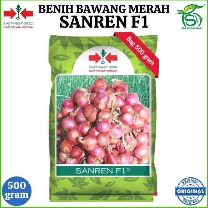 

Terlaris Benih Bawang Merah Sanren F1 (500 Gram) - Bibit Cap Panah Merah 500 Gr