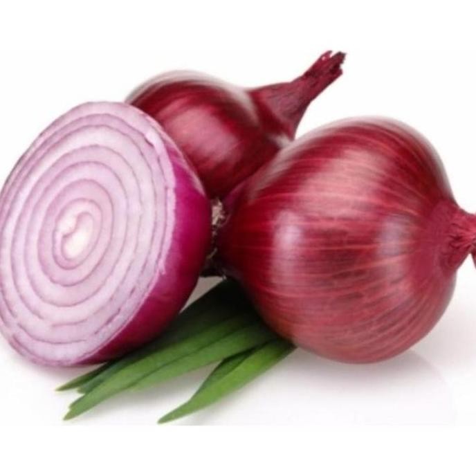 

Terlaris New Stok Bibit Unggul Bawang Merah Hibrida | Benih Bawang Merah Hibrida