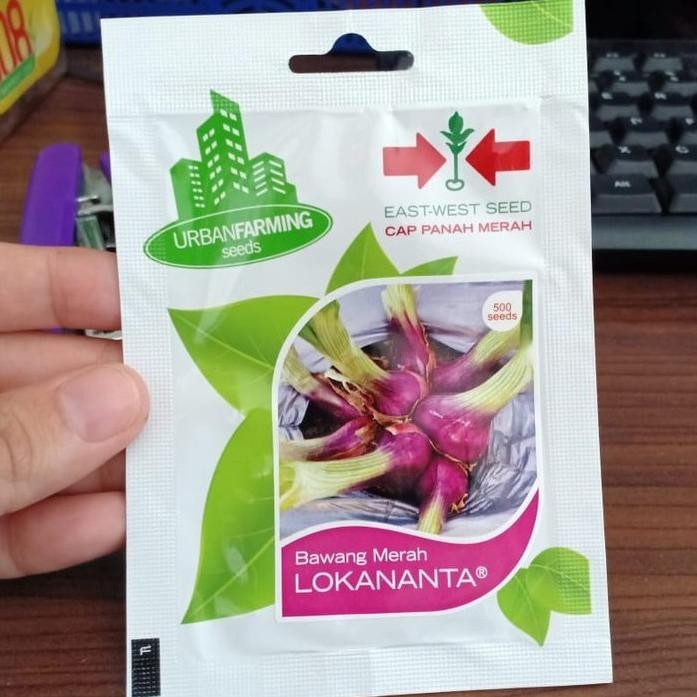 

Terlaris Terbaik !! Uf - Benih Bawang Merah Lokananta Isi 500 Biji - Bibit Bawang Merah - Urban Farming Panah Merah