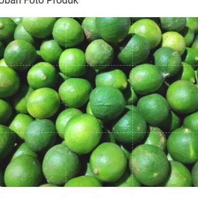 

Terlaris Bibit / Benih / Seed Buah Jeruk Nipis Cegah Kanker Dengan Jeruk Nipis