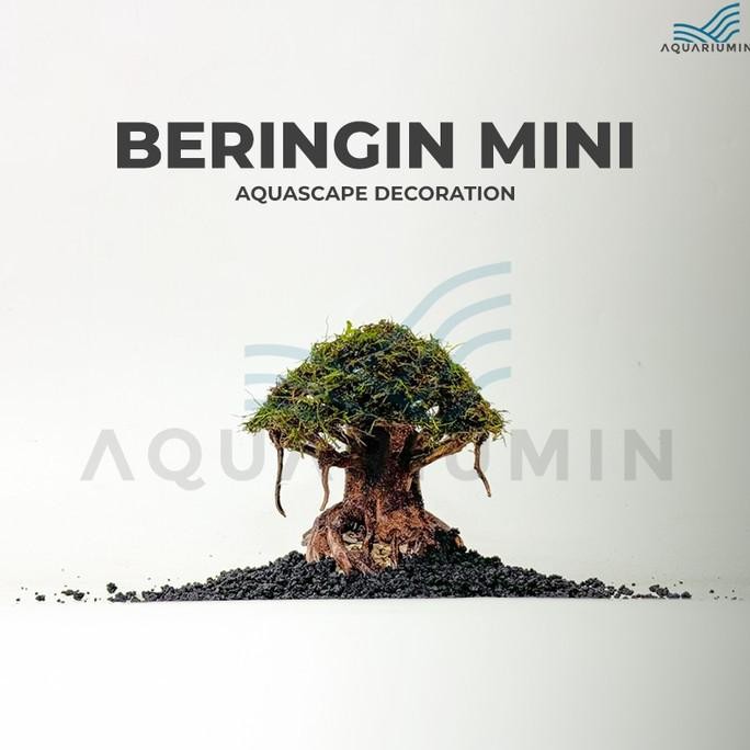 

Terlaris Pohon Beringin Mini Aquascape / Aquarium Dekorasi Hiasan Terlaris