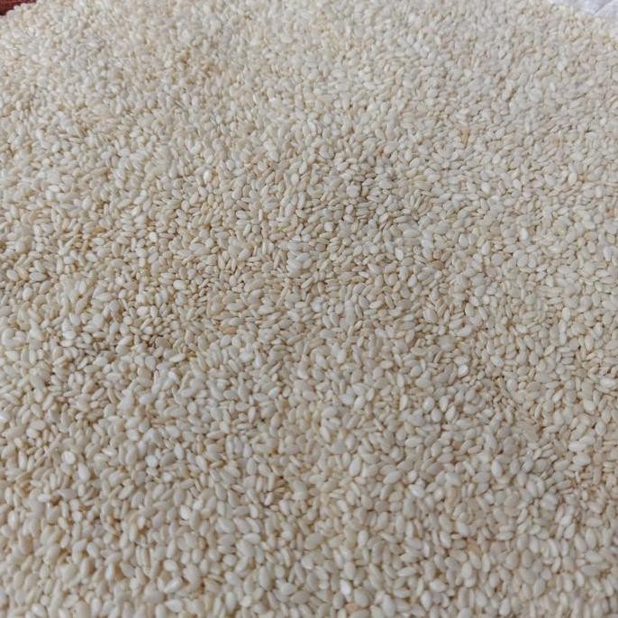 

Terlaris Wijen Putih