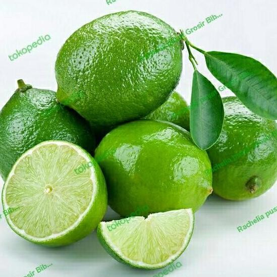 

Terlaris Bibit Jeruk Nipis Berbuah