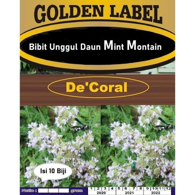 

Terlaris Bibit Unggul Daun Mint Montain | Benih Menthol Mint