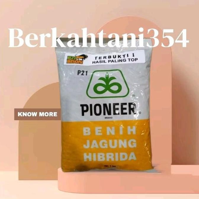 || BANANA / Benih jagung p21 1kg Bibit jagung pioneer p21 1kg ||~~~