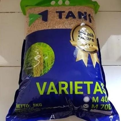 || BANANA / Benih padi m70 m tani 5 kg ||~~~