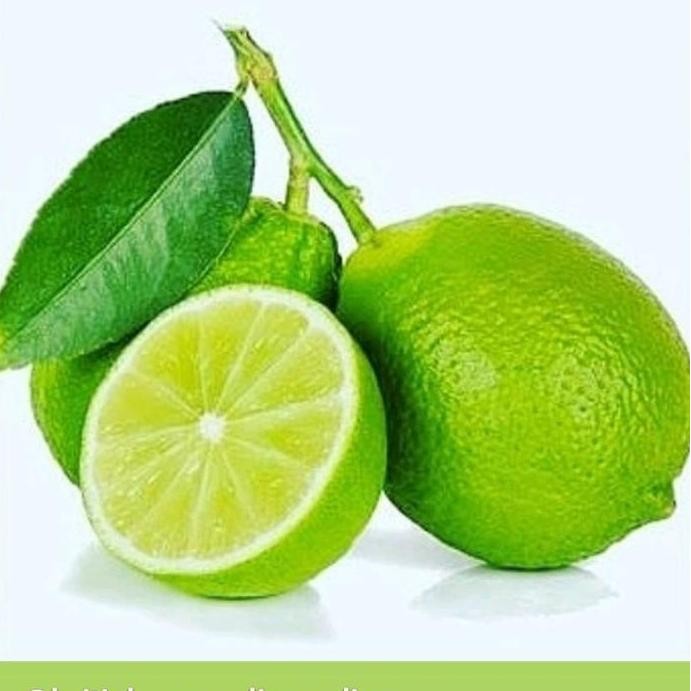 

Terlaris Bibit Jeruk Nipis Bisa Di Tanam Di Pot.