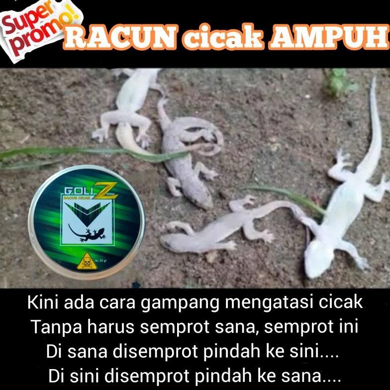 READY STOK OBAT CICAK AMPUH - RACUN CICAK AMPUH - RACUN CICAK HERBAL - OBAT PEMBUNUH CICAK - ALAT PE
