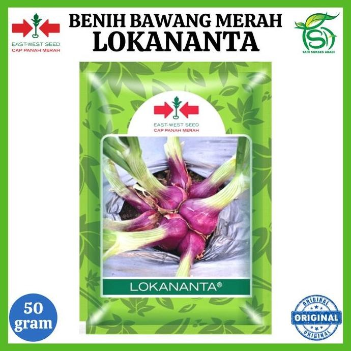 

Terlaris Benih Bawang Merah Lokananta 50 Gram - Bibit Cap Panah Merah 50 Gr