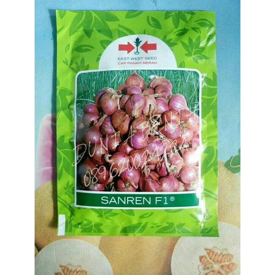 

Terlaris Benih/Bibit Bawang Merah Hibrida Sanren