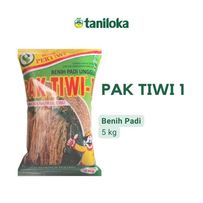 || BANANA / Benih Padi PAK TIWI 1 (5KG) ||~~~