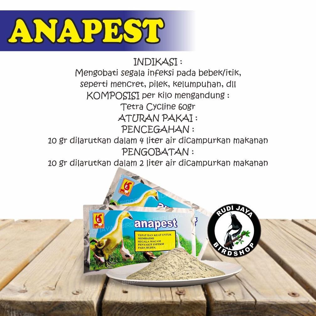 Er-23 Gh-67 Anapest Ana Pest 10 Gram 1 Sachet Obat Infeksi Bebek Itik Unggas Angsa Sakit Saluran Pen