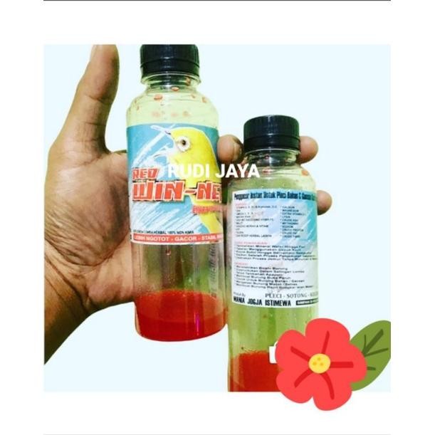 Tw39 If56 Termurah Gratis Gantungan, Red Win-Ner Redwiner Red Winner Win Ner Red Winer Energy Vitami