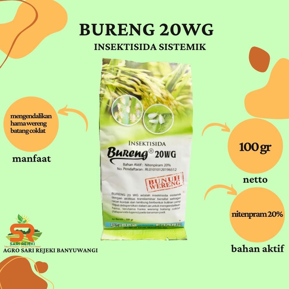 READY STOK BURENG 20WG 100GR INSEKTISIDA WERENG, KUTU DAUN, THRIPS, KUTU KEBUL & HAMA PENGHISAP Siap