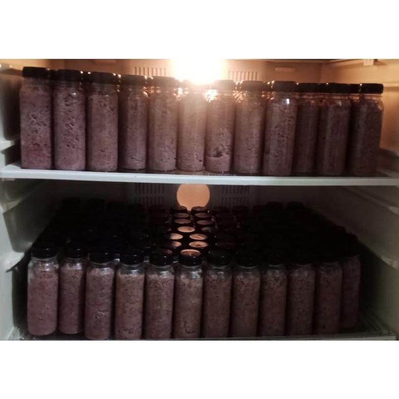 

jods - HALAL | seujot | saeujot | salted shrimp fermented korean | bumbu kimchi | udang halus asin fermentasi | salted | fermented shrimp | rusip | saeujeot | jeot | jeotgal | saeujeot korea | Gwangcheon Saeujeot Fermented Shrimp