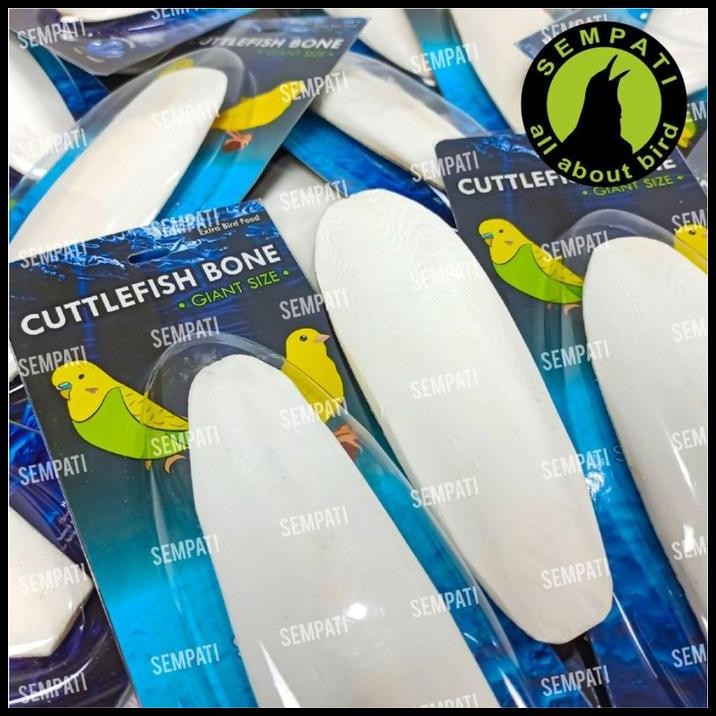 

Cuttlefish Bone Tulang Sotong Asinan Burung Cumi Super Jumbo Premium