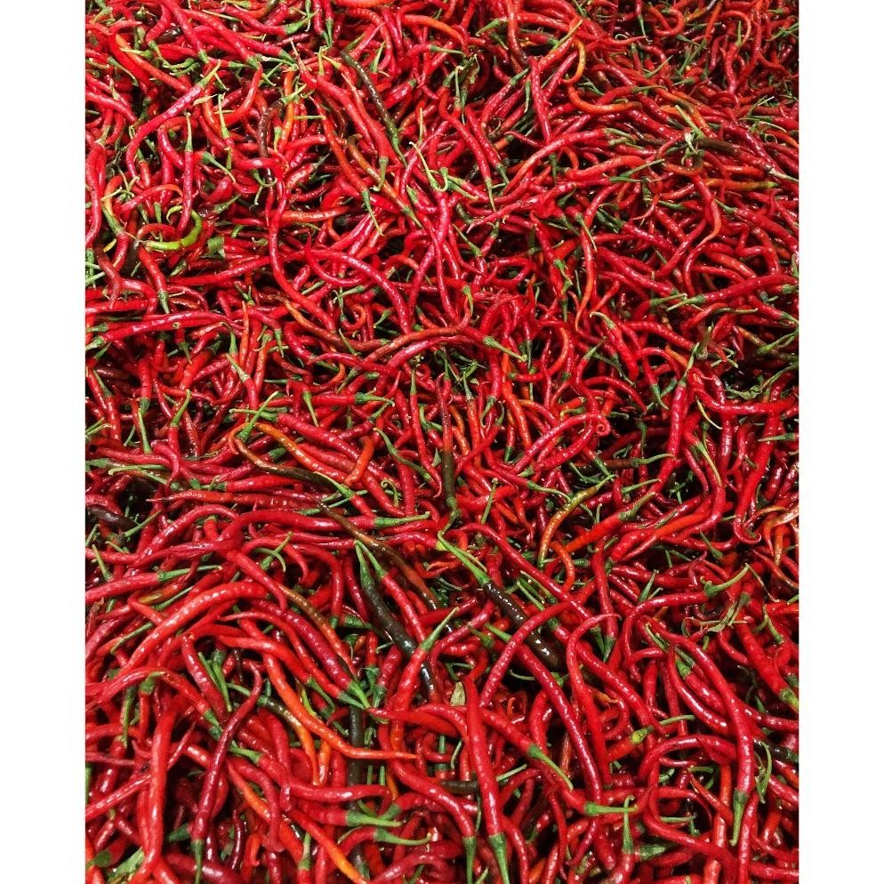 

Original Cabe/Cabai Merah Keriting 1 Kg Segar Asli Blitar