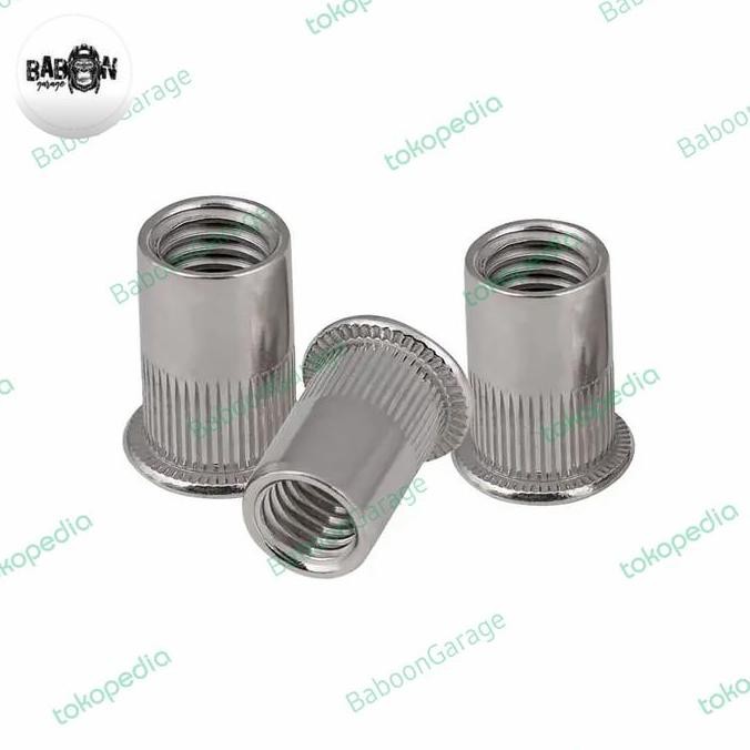 Rivet Nut Stainless Steel / Mur Rivet Ss304/ Mur Furniture M4/M5/M6/M8