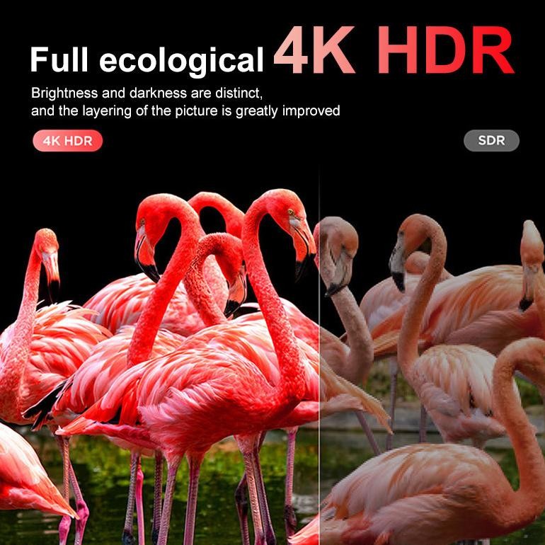 Smart TV 32 Inch TV Digital 32 Inch TV Android Television-Netflix/YouTube Browser WiFi/HDMI/USB