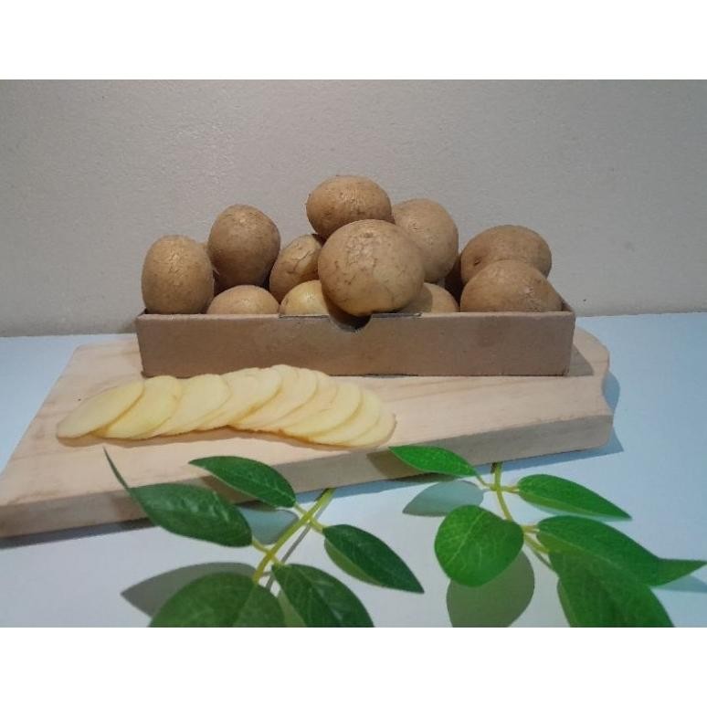 

Paling Dicari Kentang Super Segar [ Ukuran Kecil ] 1 Kg