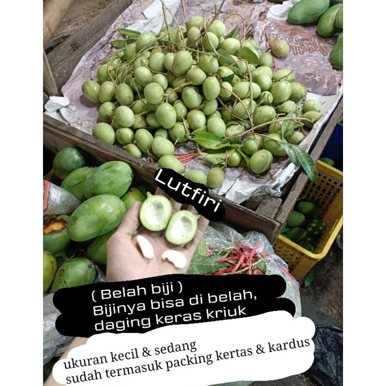 

Free Ongkir Mangga Telor Telur Or Keong Muda Mentah 1 Kg Belah Biji Asem Segar Fresh Rujak Manisan Asinan ( Di Kirim Utuh Ya Ka)