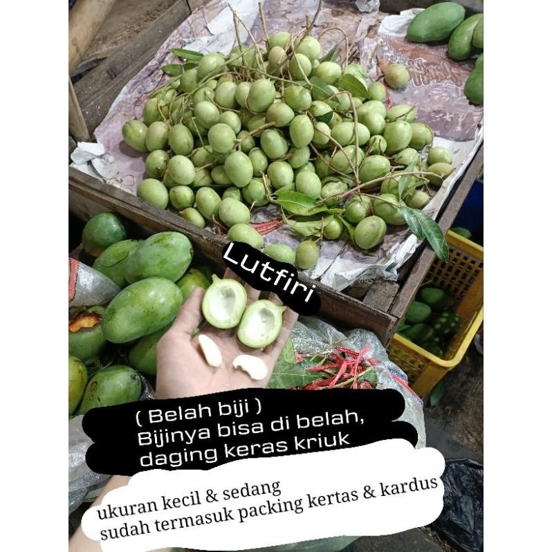

Harga Terjangkau Mangga Telor Telur Or Keong Muda Mentah 1 Kg Belah Biji Asem Segar Fresh Rujak Manisan Asinan ( Di Kirim Utuh Ya Ka)