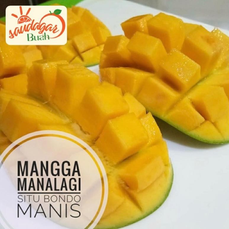 

Inovasi Buah Mangga Manalagi Manis Mangga Simanalagi 1Kg Murmer