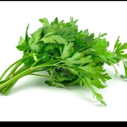 

Trendi Daun Seledri Segar | Sayur N Co Bekasi