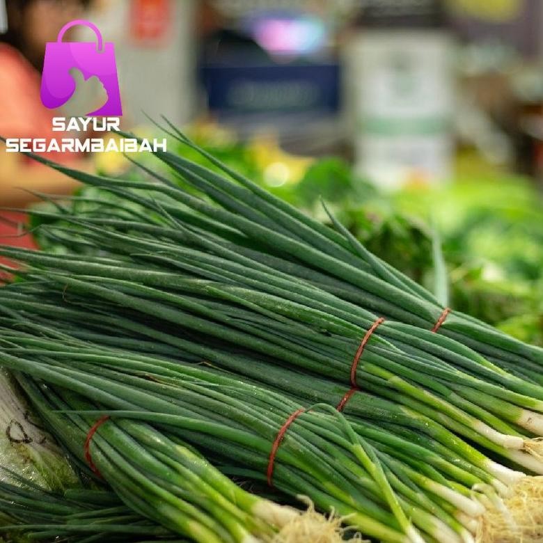 

Kualitas Terbaik Daun Bawang+Seledri 250 Gram