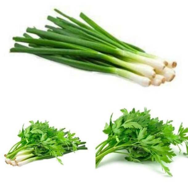 

Mampu Bersaing Daun Bawang Seledri/Daun Bawang /Daun Seledri Daun Sop 100 Gram