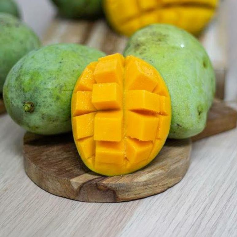 

Terbaru Mangga Indramayu 1 Kg Super