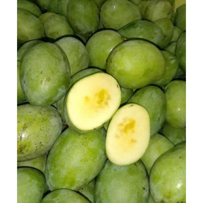 

Diskon Buah Mangga Manalagi Mentah.1 Kg