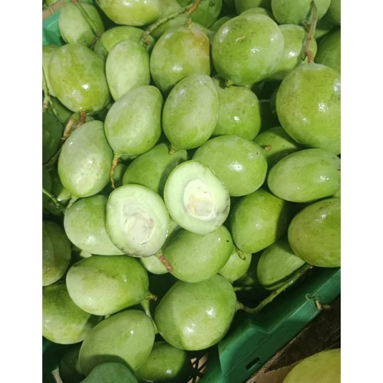 

Terjangkau Mangga Telur /Mangga Donat /Mangga Viral/Mangga Rujak 1 Kg